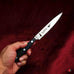 F Dick Premier Plus Jagd Knife 3 Pc Set