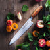 F DICK 1778 Series Plumwood Chef Knife 24cm